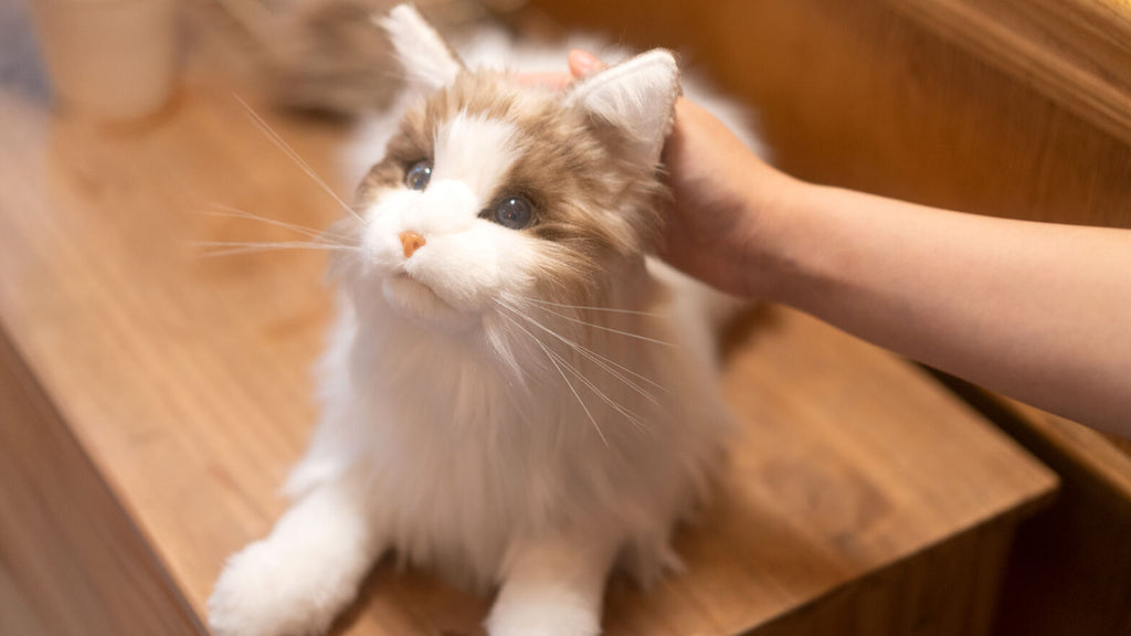 MetaCat KI-gesteuerte Roboterkatze bringt Realismus auf die nächste Ebene LED-Bildschirmaugen