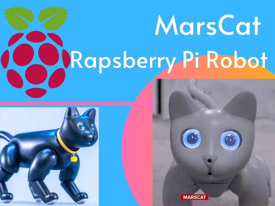 Cat Named Raspberry MarsCat - The AI Cat Born From Raspberry Pi – Elephant Robotics