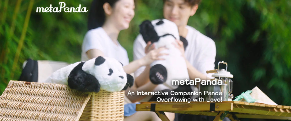 Introducing metaPanda - An Interactive Companion Robot Panda Overflowing with Love