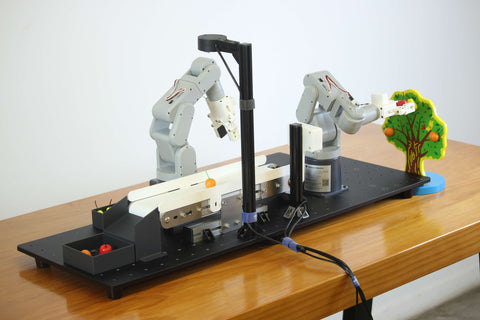 Robotics Education Solution：6-axis Robot with 3D vision