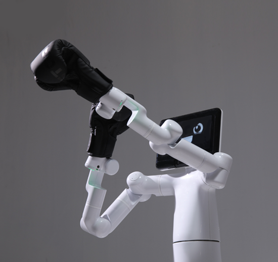 エレファント・ロボティクス：マーキュリー車輪型ヒューマノイド