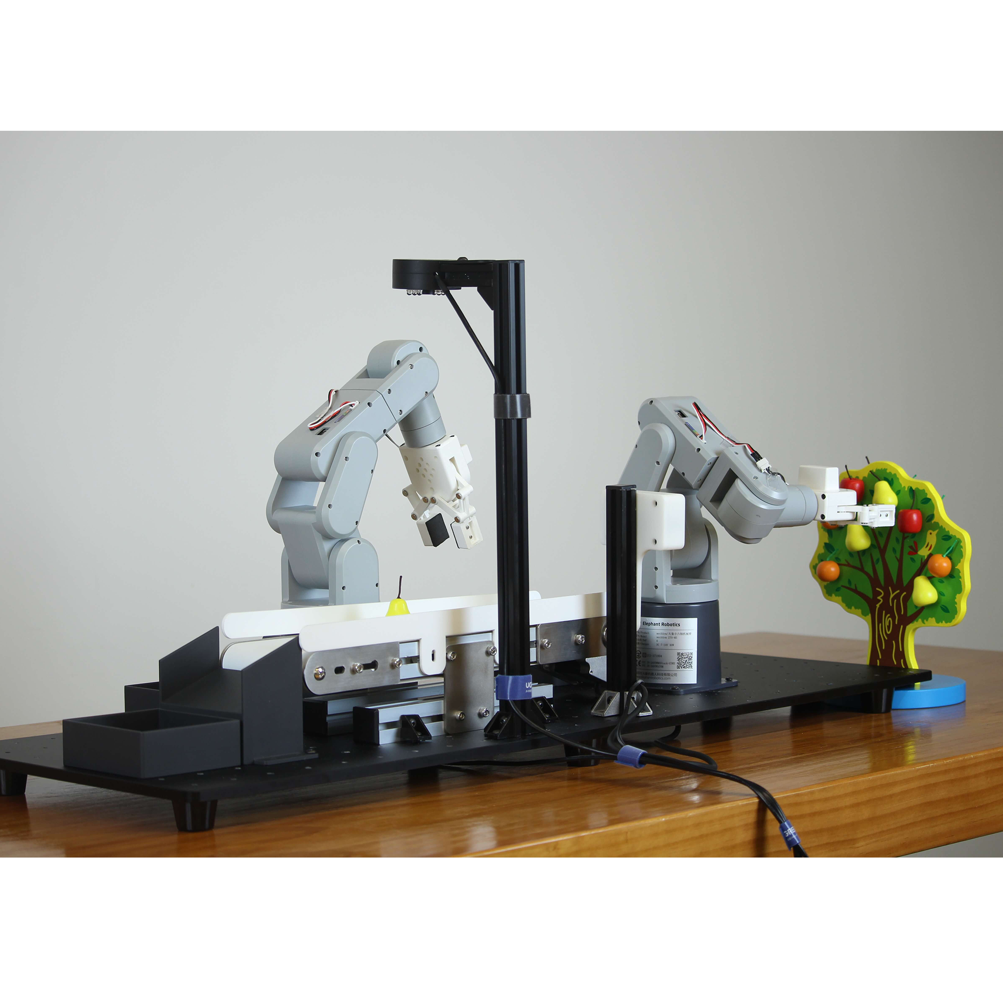 6-Axis Robot Kit (3D Vision) - Robotics Education – Elephant Robotics