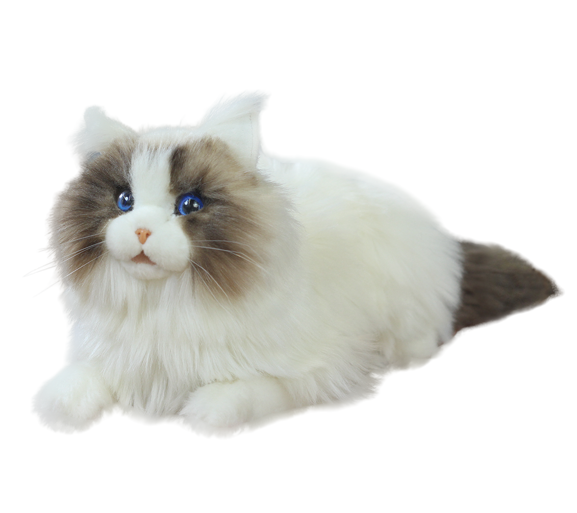 metacat-robotic-companion-pet