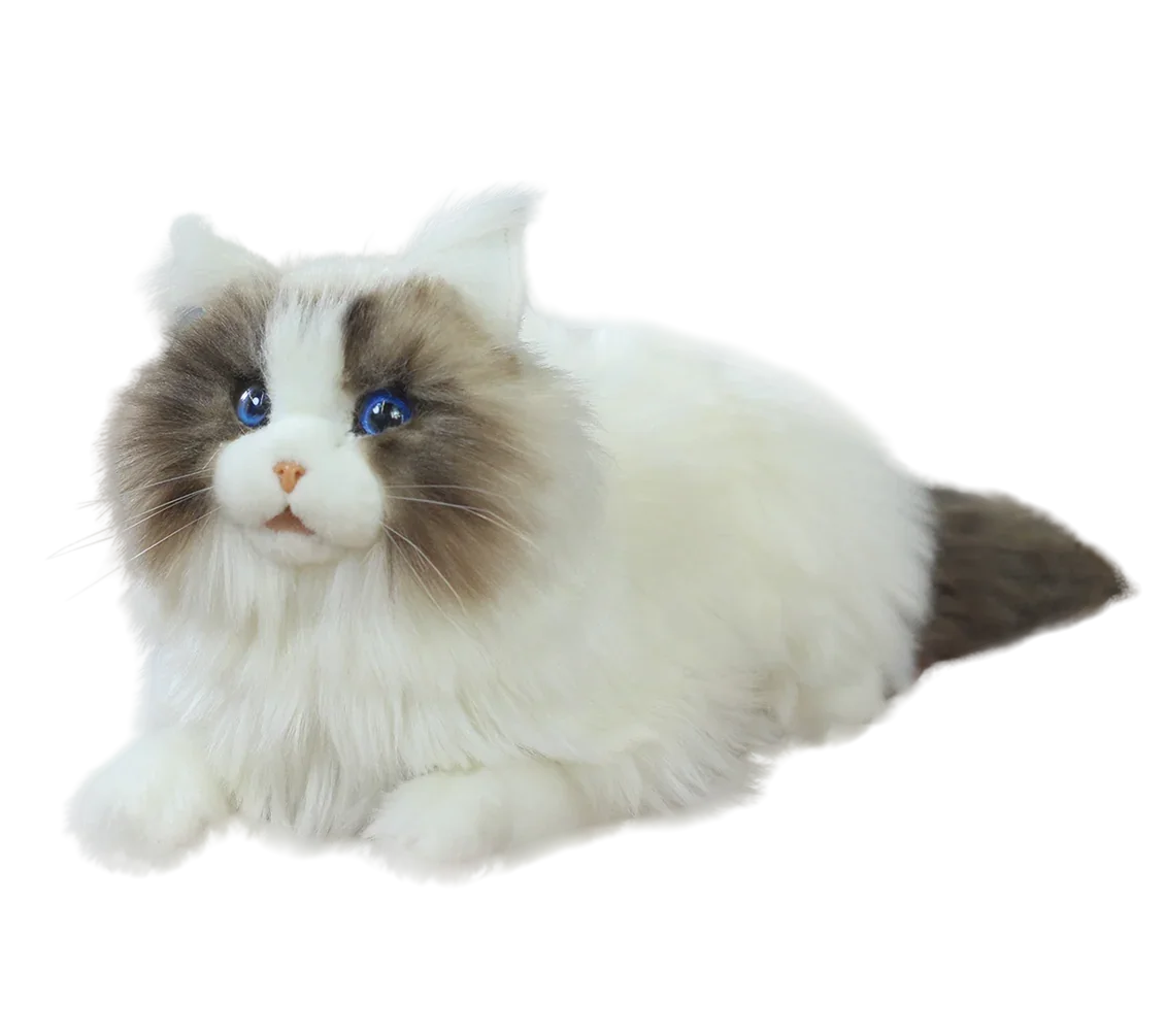 metacat-robotic-companion-pet