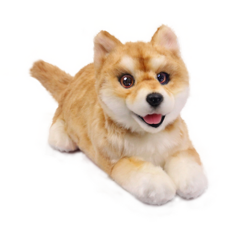 MetaDog: Gift the Purr~Fect Companion Robotic Pet Dog (Pre-sale now)